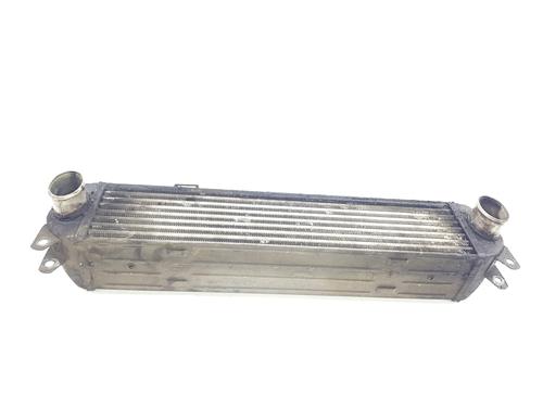 Used Intercooler LAND ROVER RANGE ROVER SPORT I (L320) 2.7 D 4x4 (190 hp) 20511619