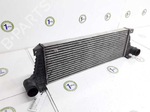 BP12572944M30 | Intercooler SANTANA PS10/ANIBAL 2.8 TD BP12572944M30