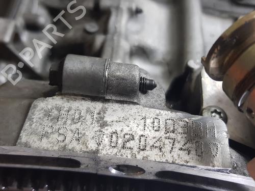 Engine PEUGEOT 2008 I (CU_) 1.5 BlueHDI 120 | BP29731757M1 