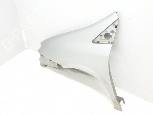 Left front fenders FIAT ULYSSE (179_) 2.2 JTD | BP16909434C41 