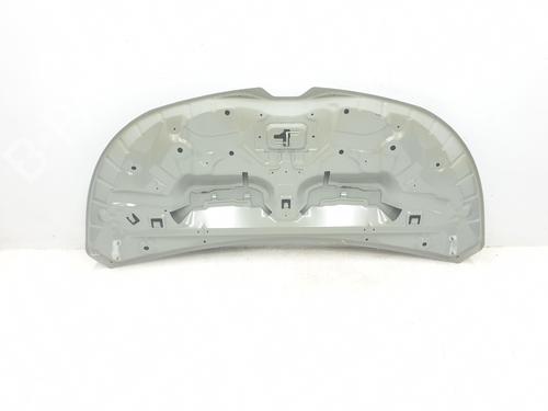 Hood RENAULT TRAFIC III Van (FG_) 1.6 dCi 140 (FGMA, FGMC) | BP29955810C1