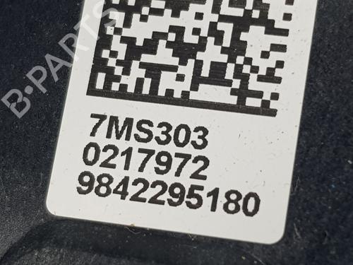 Right rear brake caliper FIAT 600e / 600 (365_, 364_)  | BP32072728M106 