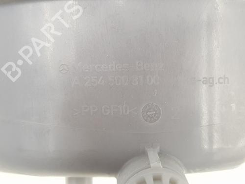 Expansion tank MERCEDES-BENZ GLC (X253)  | BP29591119C120 