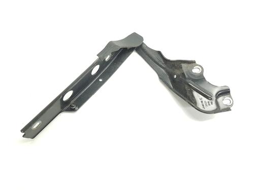 Hinge/Door check strap AUDI A6 C7 (4G2, 4GC) 2.0 TDI | BP29575331C146