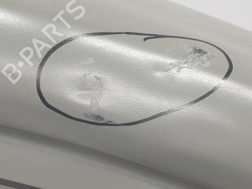 Right front door RENAULT TRAFIC III Van (FG_) 1.6 dCi 140 (FGMA, FGMC) | BP29906786C3