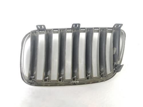 Grille BMW X3 (E83) 2.0 d | BP14091812C40 