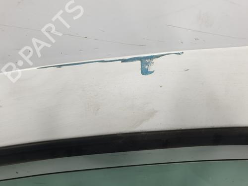 Left front door RENAULT KANGOO (KC0/1_) D 65 1.9 (KC0E, KC02, KC0J, KC0N) | BP23527617C2 