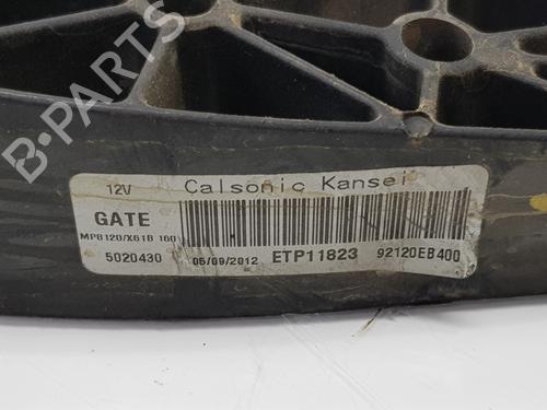 Radiator fan NISSAN PATHFINDER III (R51) 2.5 dCi 4WD | BP17199602M35 