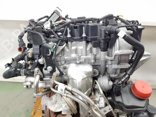 Engine FORD PUMA (J2K, CF7) 1.0 EcoBoost mHEV | BP30724817M1