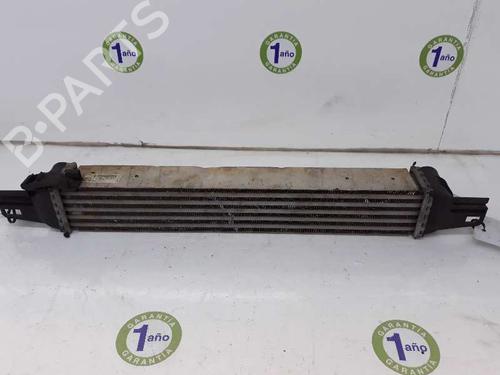 Used Intercooler PEUGEOT BIPPER (AA_) 1.4 HDi (68 hp) 5410558