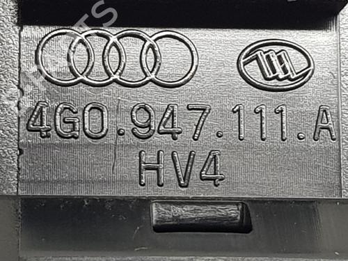 Interior roof light AUDI A6 C7 (4G2, 4GC) 2.0 TDI | BP29589800I8 