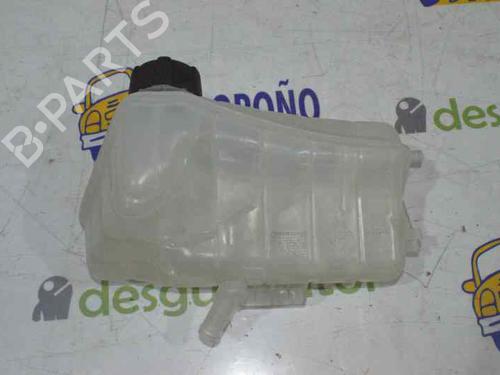 Expansion tank RENAULT KANGOO Express (FW0/1_) 1.5 dCi 75 (FW07, FW10, FW04) | BP1634356C120 