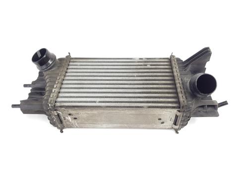 Intercooler NISSAN JUKE (F15) [2010-2019]  31131921
