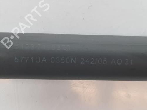 Hood lift support BMW 1 (E87) 118 d | BP14526153C139 