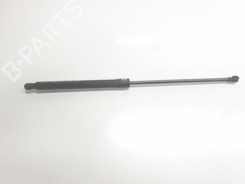 tailgate-lift-support-renault-arkana-i-lcm_-ldn_-2019-35754235 main image