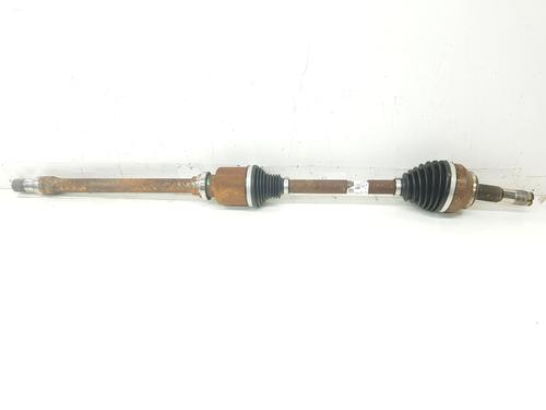 BP31593644M39 main image