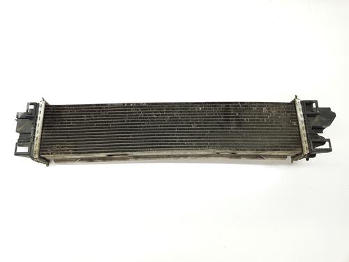 Intercooler RENAULT TRAFIC III Van (FG_)  | BP29396132M30 