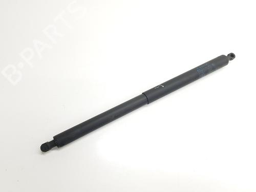 Tailgate lift support BMW X1 (F48) sDrive 18 d | BP29313332C138 