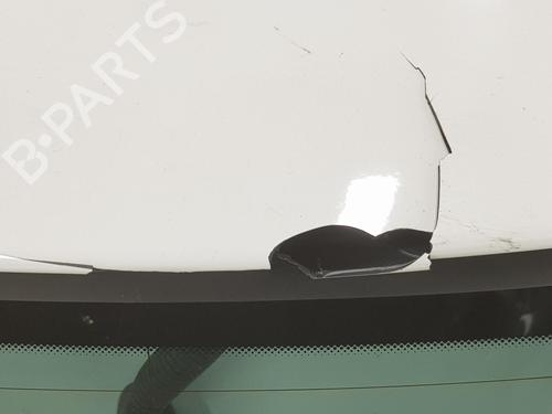 Tailgate MINI MINI (R50, R53) Cooper | BP16426535C6 