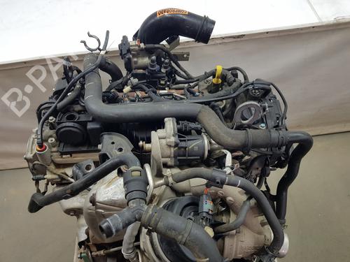 Used Engine Engine FORD RANGER (TKE) [2011-2026] 35981591 35981591