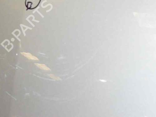 Hood RENAULT CLIO III (BR0/1, CR0/1)  | BP1425003C1 