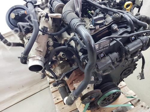 Engine FORD RANGER (TKE) | BP35981591M1 - Image 9