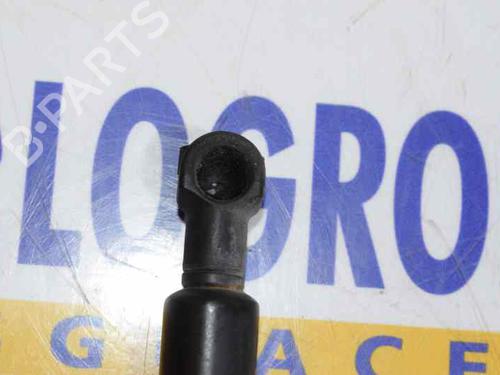 Hood lift support BMW 1 (E87) 118 d | BP14100244C139 