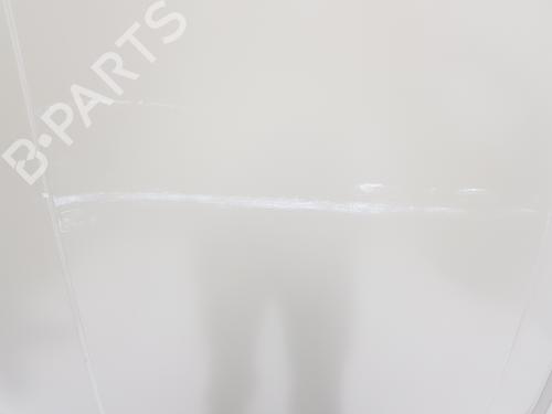 Right rear door RENAULT TRAFIC III Van (FG_) 1.6 dCi 90 (FGME) | BP16198305C5
