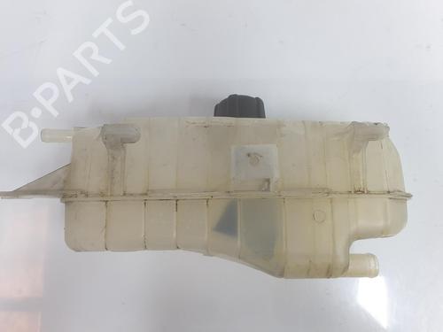 Expansion tank RENAULT CLIO III (BR0/1, CR0/1) 1.5 dCi (BR17, CR17) | BP10394598C120 