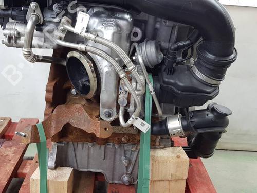 Engine FORD PUMA (J2K, CF7) 1.0 EcoBoost | BP38524589M1  - Image 6