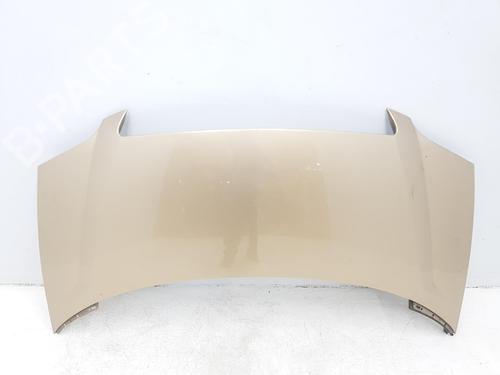 Hood LANCIA PHEDRA (179_) 2.2 JTD (179AXC1A) | BP13377397C1 
