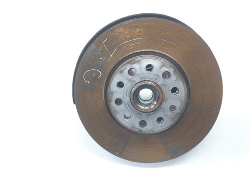 Left front steering knuckle CUPRA FORMENTOR (KM7, KMP) 1.5 TSI | BP28795729M25 