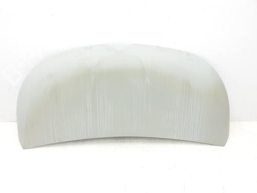 Used Hood RENAULT TRAFIC III Van (FG_) 1.6 dCi 140 (FGMA, FGMC) (140 hp) 29953731