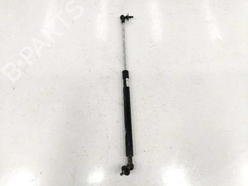 Hood lift support TOYOTA LAND CRUISER PRADO (_J12_) 3.0 D-4D (KDJ120, KDJ125) | BP14087295C139 