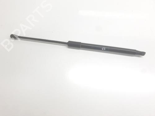 tailgate-lift-support-dacia-sandero-iii-2021-34004123 main image