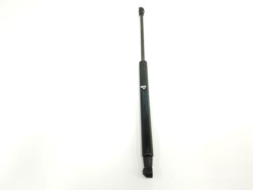 Hood lift support LAND ROVER DISCOVERY III (L319) 2.7 TD 4x4 | BP15713667C139 