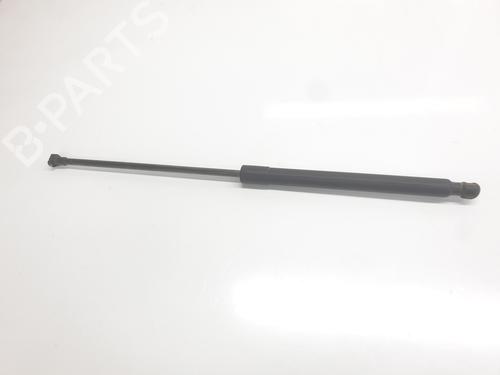 tailgate-lift-support-renault-arkana-i-lcm_-ldn_-2019-33411878 main image