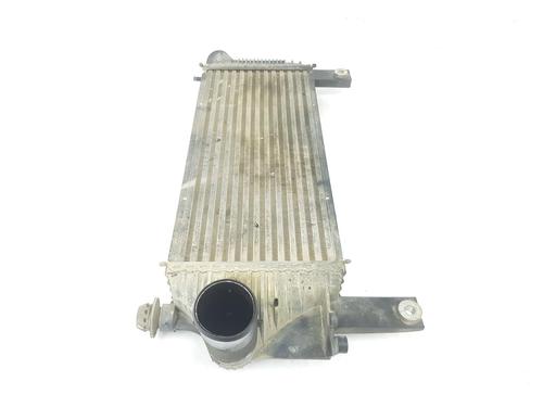Intercooler NISSAN PATHFINDER III (R51) 2.5 dCi | BP16214358M30 