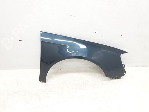 Used Right front fenders VW PASSAT B6 (3C2) 2.0 TDI 16V (140 hp) 28795836