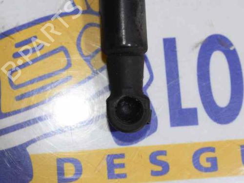 Hood lift support BMW 1 (E87) 118 d | BP14121264C139 