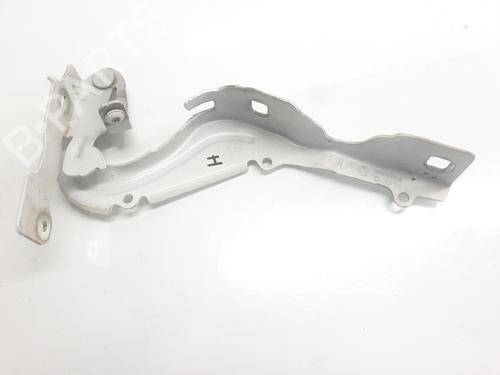 hingedoor-check-strap-citroen-c3-iii-sx-2016-35965994 main image