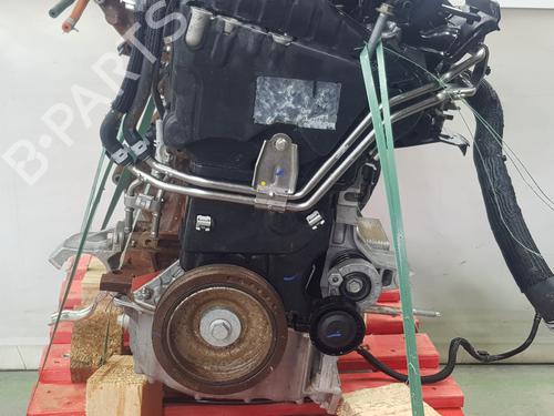Engine RENAULT KANGOO III MPV  | BP33652983M1  - Image 10
