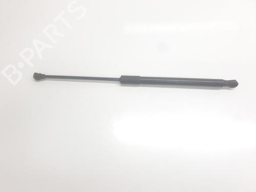 tailgate-lift-support-dacia-sandero-iii-2021-34266811 main image