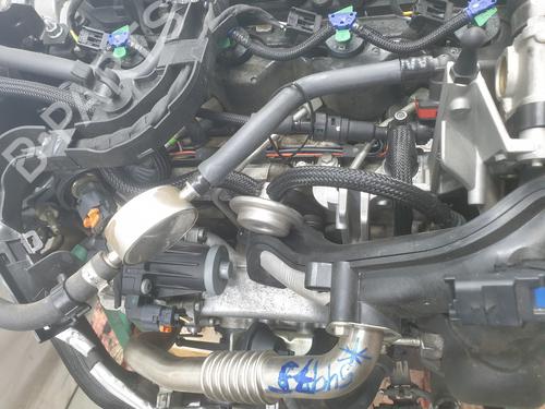 Engine FORD TRANSIT COURIER B460 Box Body/MPV 1.5 TDCi | BP30974772M1 