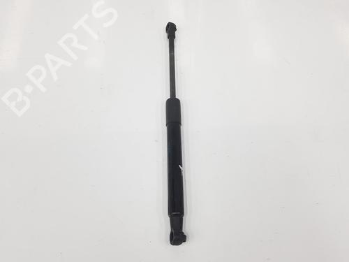 Hood lift support AUDI Q5 (8RB) 2.0 TFSI quattro | BP14102876C139 