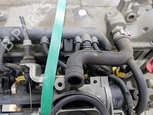 Engine FIAT PANDA (169_) 1.2 (169.AXB11, 169.AXB1A) | BP38037897M1 - Image 6