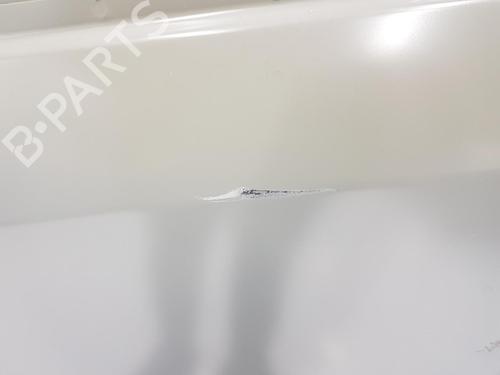 Left front door RENAULT TRAFIC III Van (FG_) 1.6 dCi 90 (FGME) | BP15597147C2 