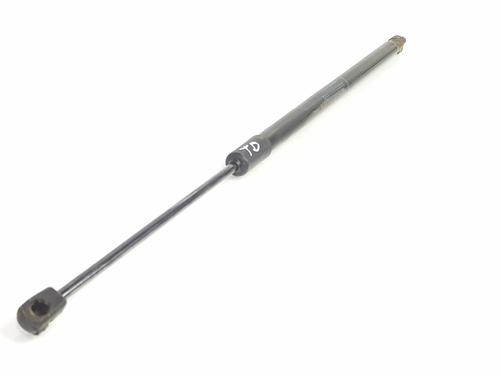Tailgate lift support DACIA JOGGER (RK_)  | BP32371912C138 