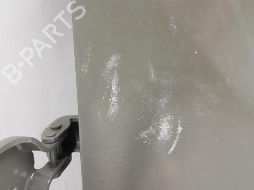 Left front door RENAULT TRAFIC III Van (FG_) 1.6 dCi 90 (FGME) | BP15597150C2 