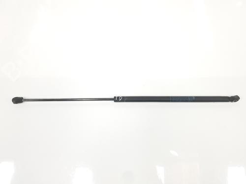 Used Tailgate lift support LANCIA DELTA III (844_) 1.6 D Multijet (844.AXC11, 844.AXC1A) (120 hp) 19111585